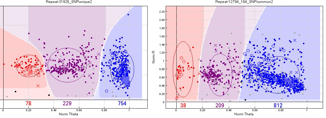 Examples where there were more pedigree errors than an average SNP for the particular pedigree. Moving the groups did not result in fewer errors in these cases.