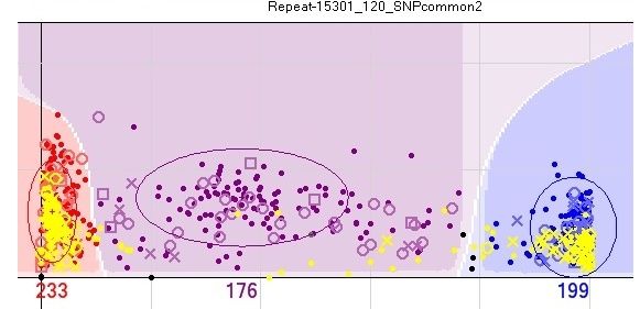 Typical indicator of sex linkage is for males to be under-represented amongst the heterozygotes, and have lower than average signal intensity.