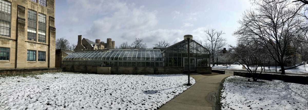 greenhouse with snow