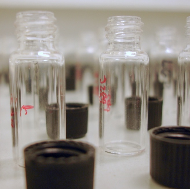 Cuticular hydrocarbons